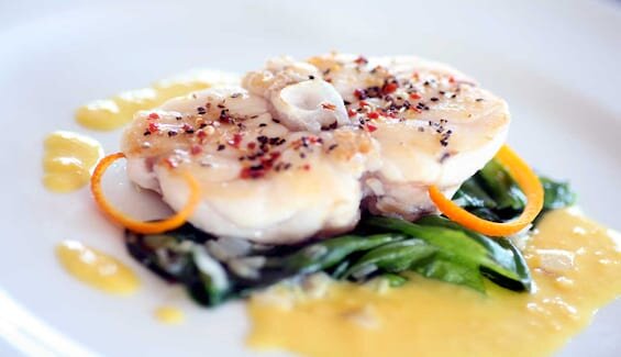 Stekt breiflabb i sitrussaus