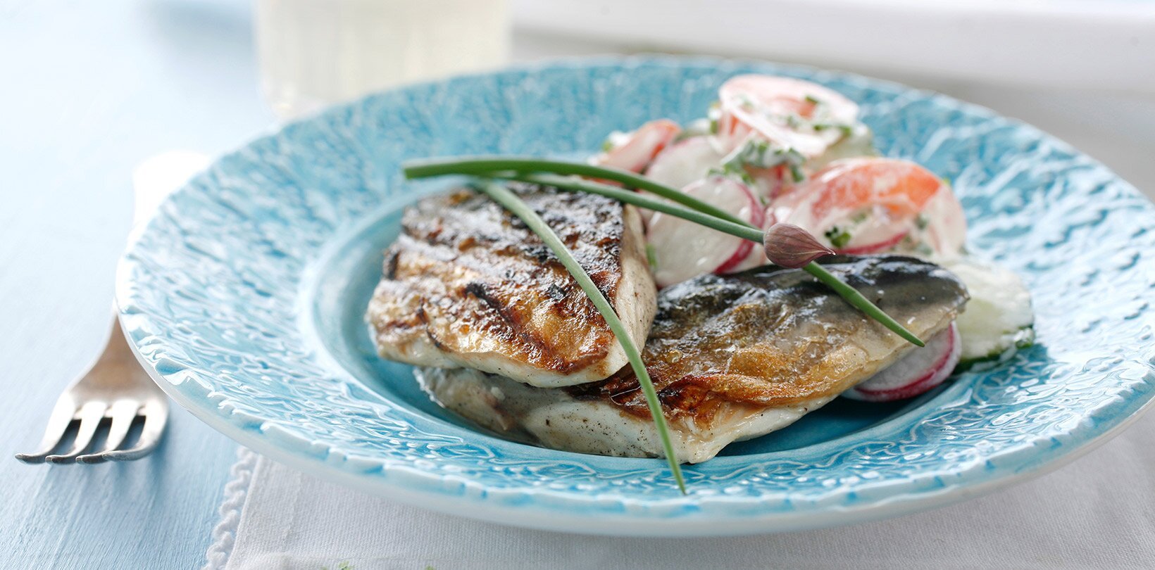 Grillet makrell med sommersalat