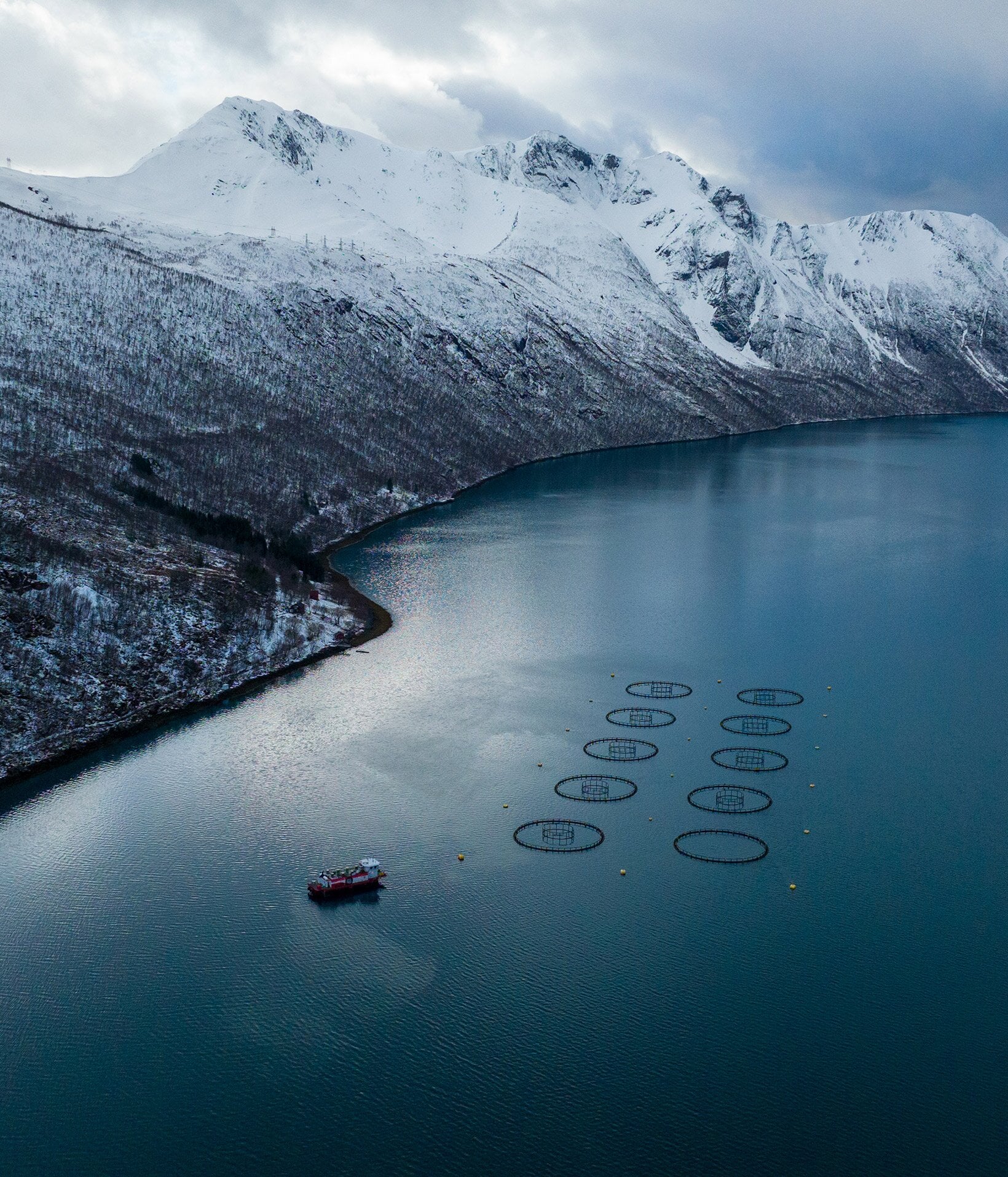 Merder i fjorden