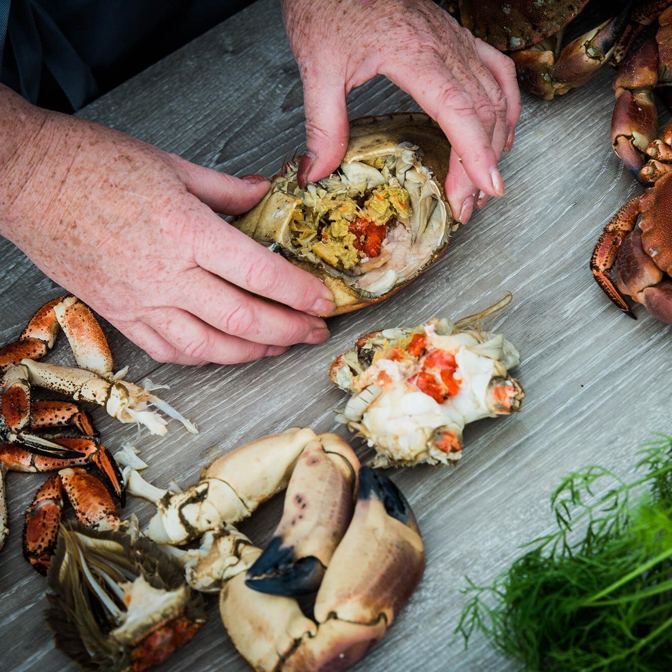 Fjerne paven fra krabben